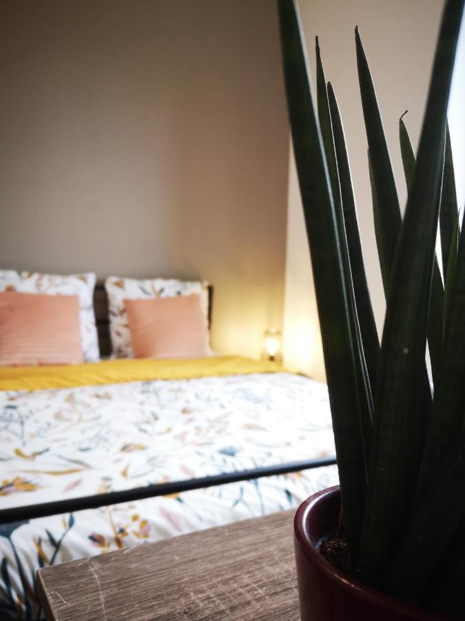 Le Petit Cocon De La Poste Apartment Gourdon-en-quercy Luaran gambar